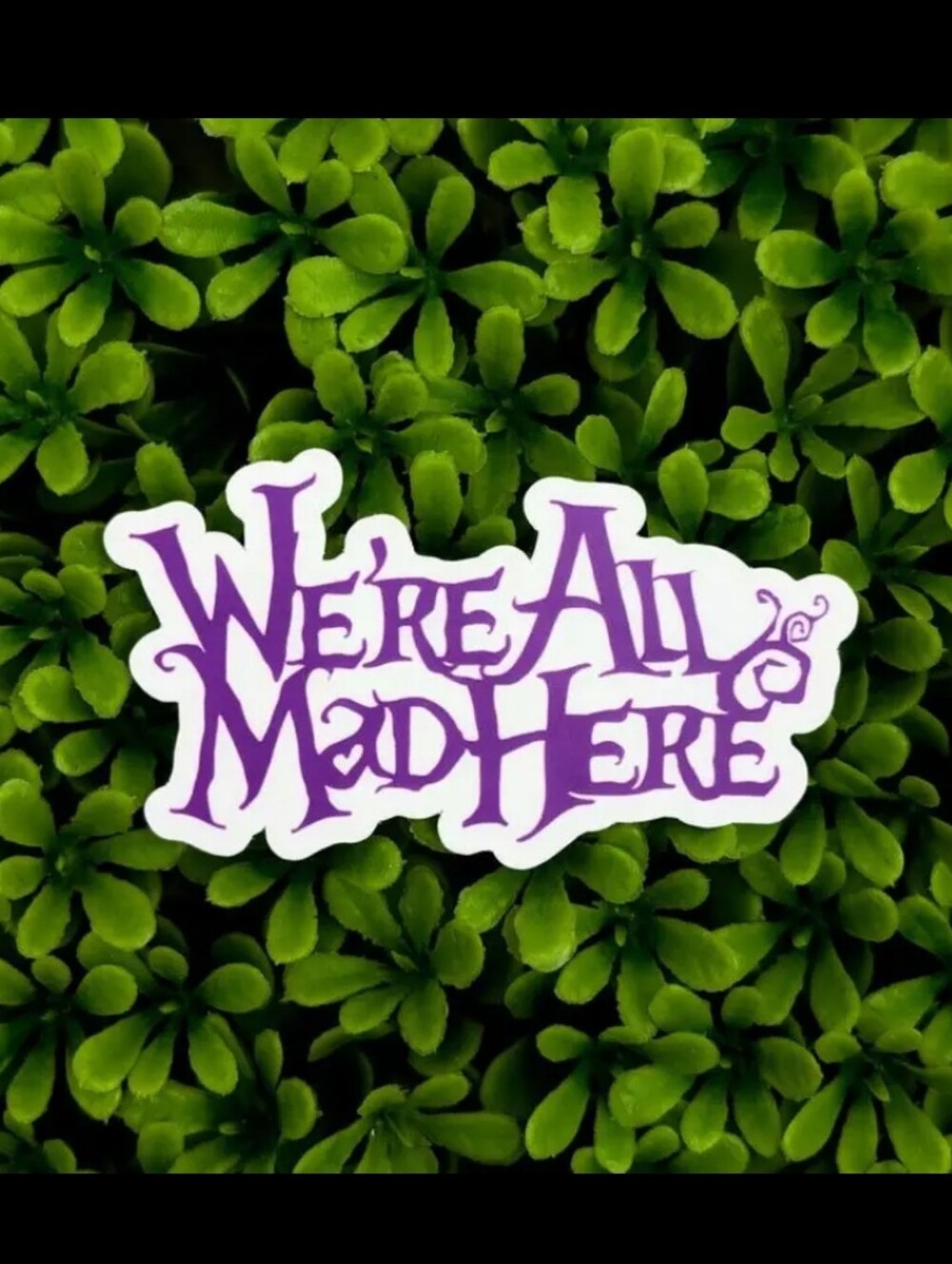 2$ Add On⭐ We're All Mad Here Sticker
